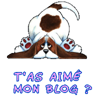 laisse des comm svp ...................................